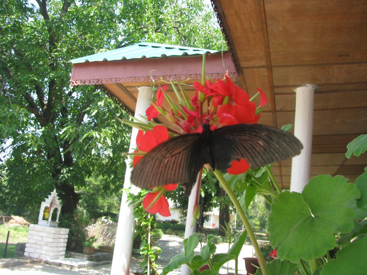 Tatva Bir Tents And Hotel Kangar Екстериор снимка