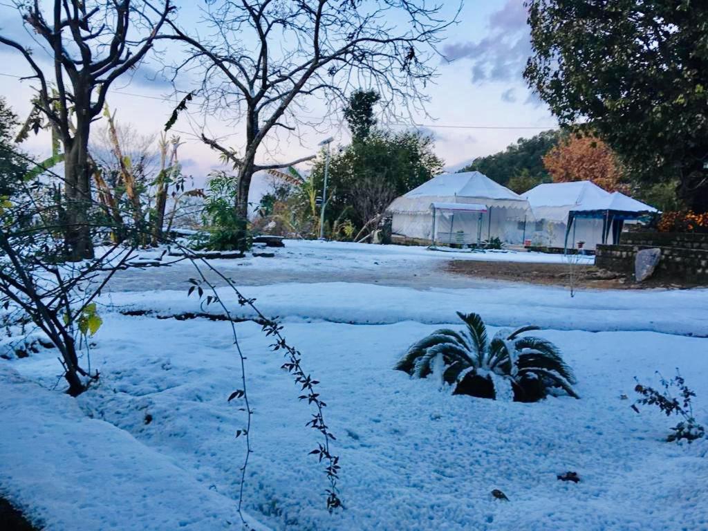 Tatva Bir Tents And Hotel Kangar Екстериор снимка