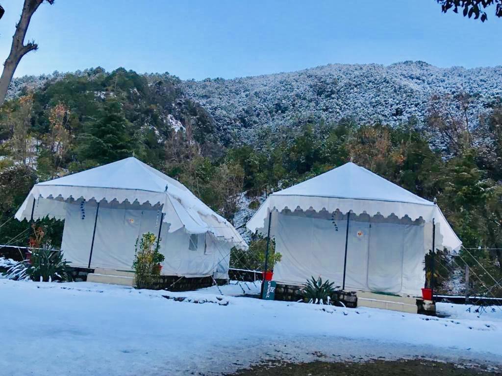 Tatva Bir Tents And Hotel Kangar Екстериор снимка